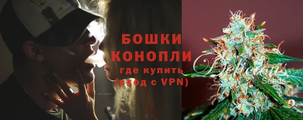 ГАЛЛЮЦИНОГЕННЫЕ ГРИБЫ Михайловск