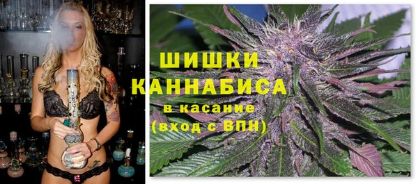 ГАЛЛЮЦИНОГЕННЫЕ ГРИБЫ Михайловск